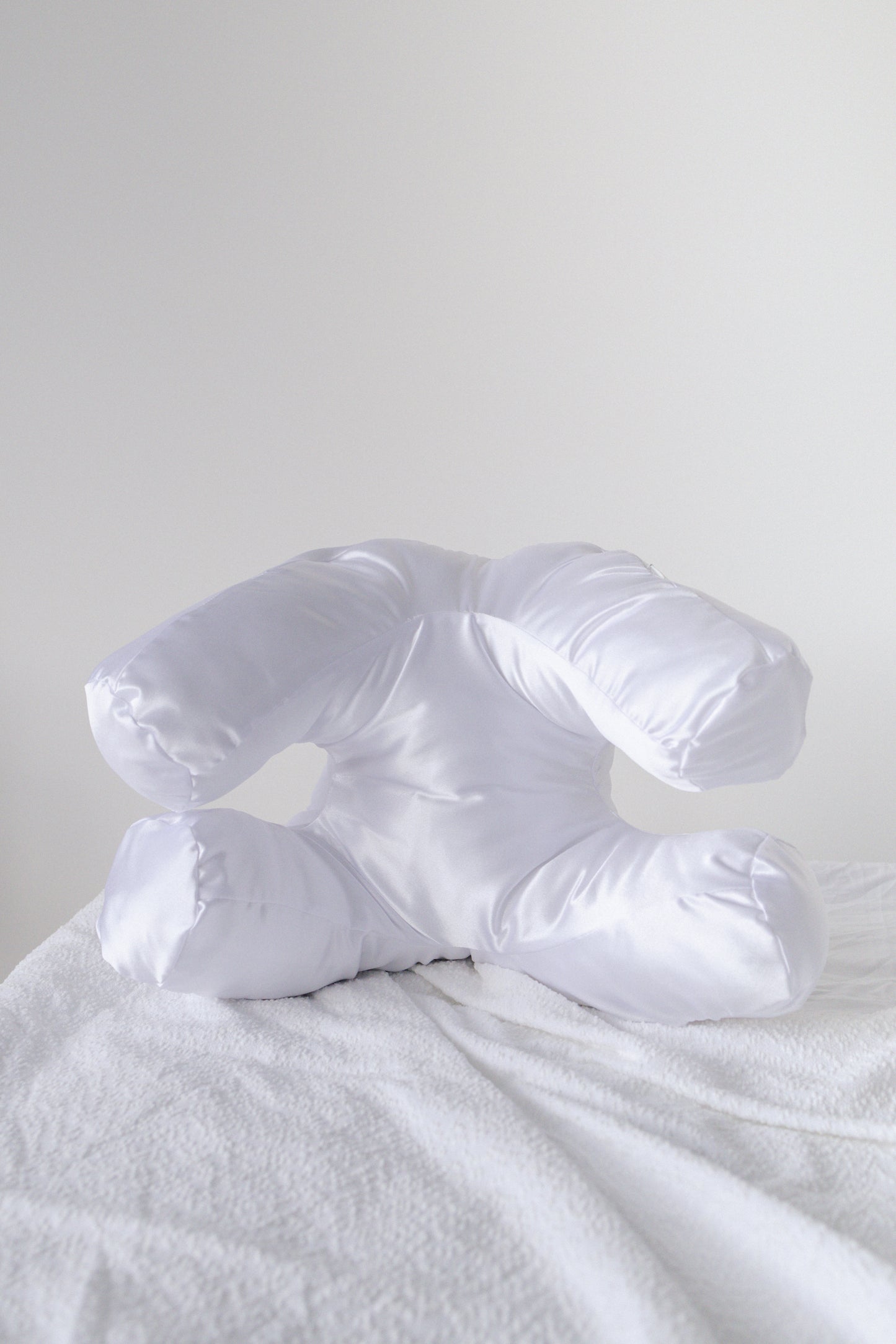 Pillow + Snow Pillowcase